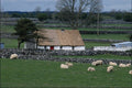 802064 Tempo Or Irish Life, County Mayo, Ireland A4 Photo Print