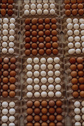 802072 Eggs, Danube River, Budapest, Hungary A4 Photo Print