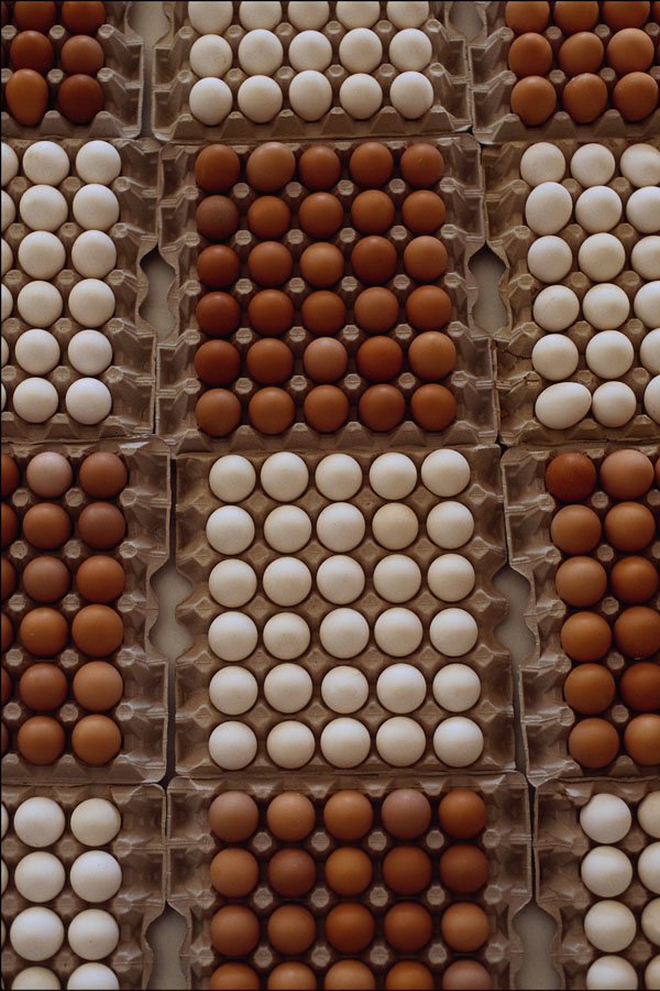 802072 Eggs, Danube River, Budapest, Hungary A4 Photo Print
