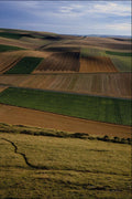 802074 Field Patterns, Escalles, Pas De Calais, France A4 Photo Print