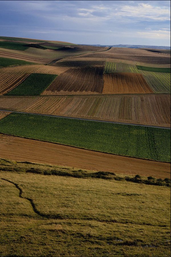 802074 Field Patterns, Escalles, Pas De Calais, France A4 Photo Print