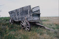 802086 Prairie Relics A4 Photo Print