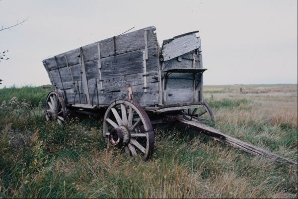 802086 Prairie Relics A4 Photo Print