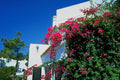 803014 Villas, Val Do Lobo, Portugal A4 Photo Print