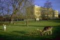 803018 Deer Park, Magdalen College, Oxford, U.K. A4 Photo Print