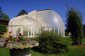 803059 Conservatory At Bicton Gardens, Exmouth, U.K. A4 Photo Print