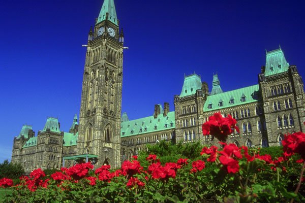 803082 Geranium Beds In Full Bloom On Parliament Hill, Ottawa, Ontario, Canada A4 Photo Print