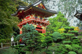 804041 Golden Gate Park, San Francisco, California, U.S.A. A4 Photo Print
