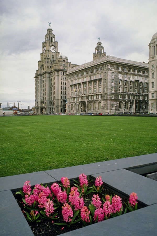 804053 Liver Building, Liverpool, England, U.K. A4 Photo Print