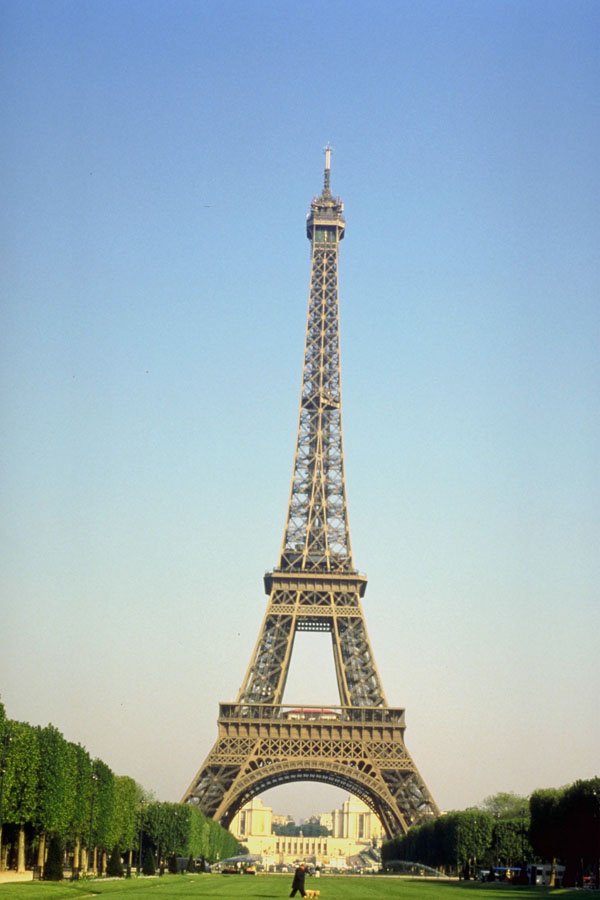 804058 Eiffel Tower, Paris, France A4 Photo Print