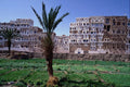 805064 Sana'a, Yemen A4 Photo Print