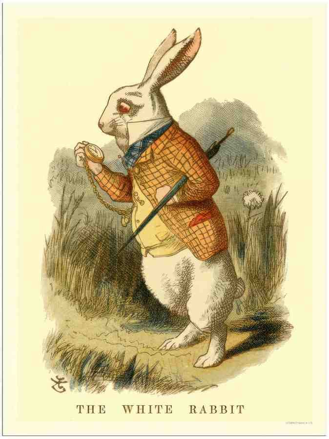 806 alice in wonderland white rabbit 2 Vintage Advert A4 Photo Print