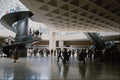 806061 Grand Louvre, Napoleon Hall, Paris, France A4 Photo Print
