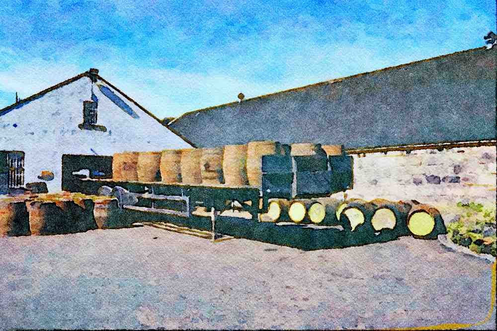 807038 Single Malt Scotch Distillery A4 Limited Edition Watercolour Print