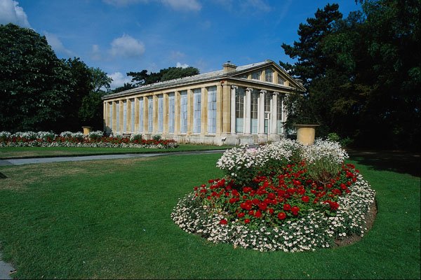 807055 Aroid House, Kew Gardens, London, England, U.K. A4 Photo Print