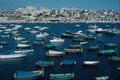 808041 St. Paul's Bay, Northwestern Malta A4 Photo Print