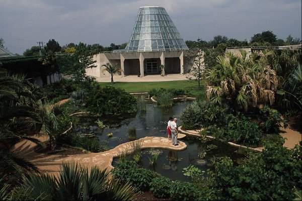 808087 San Antonio Botanical Gardens, Texas, U.S.A. A4 Photo Print