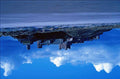 809029 Bamburgh Castle Northumberland UK A4 Photo Print