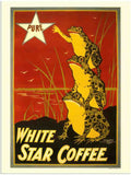 81K white star coffee frogs 1 Vintage Advert A4 Photo Print