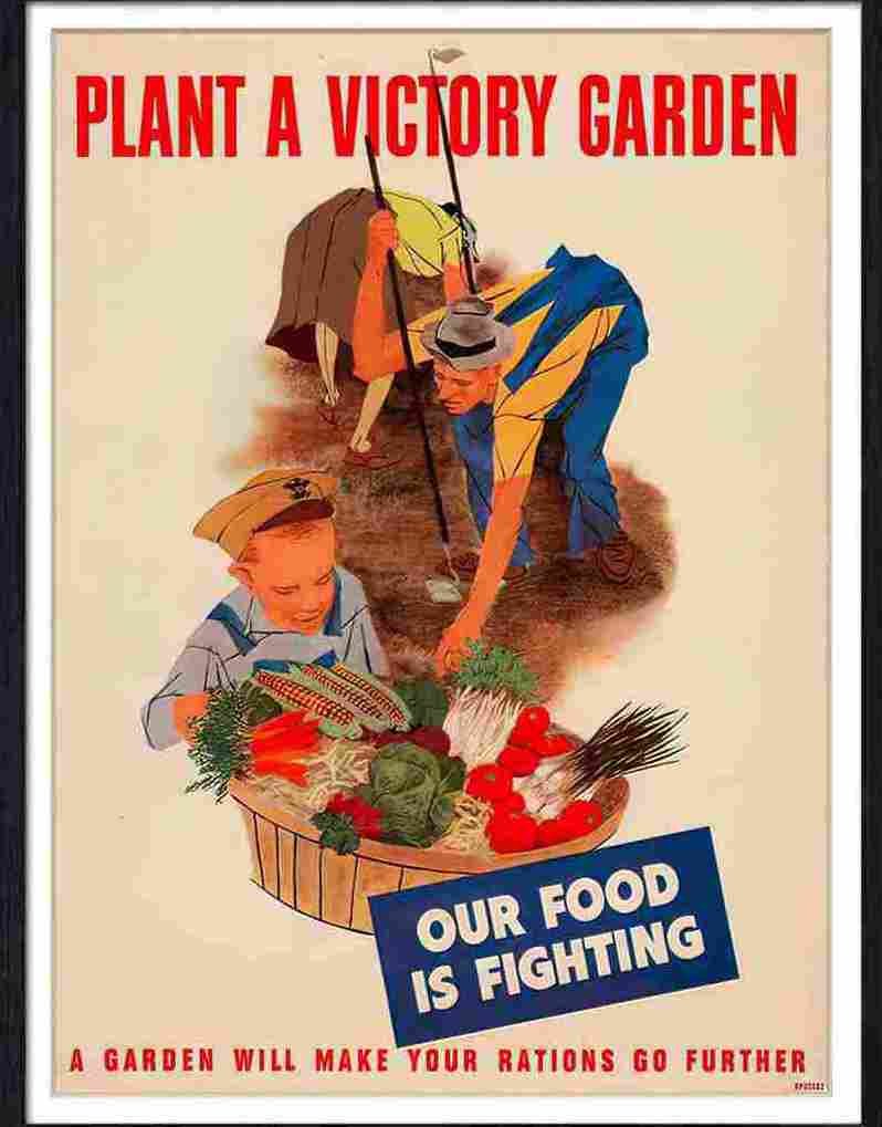 82 plant a victory garden Advert A4 Photo Print