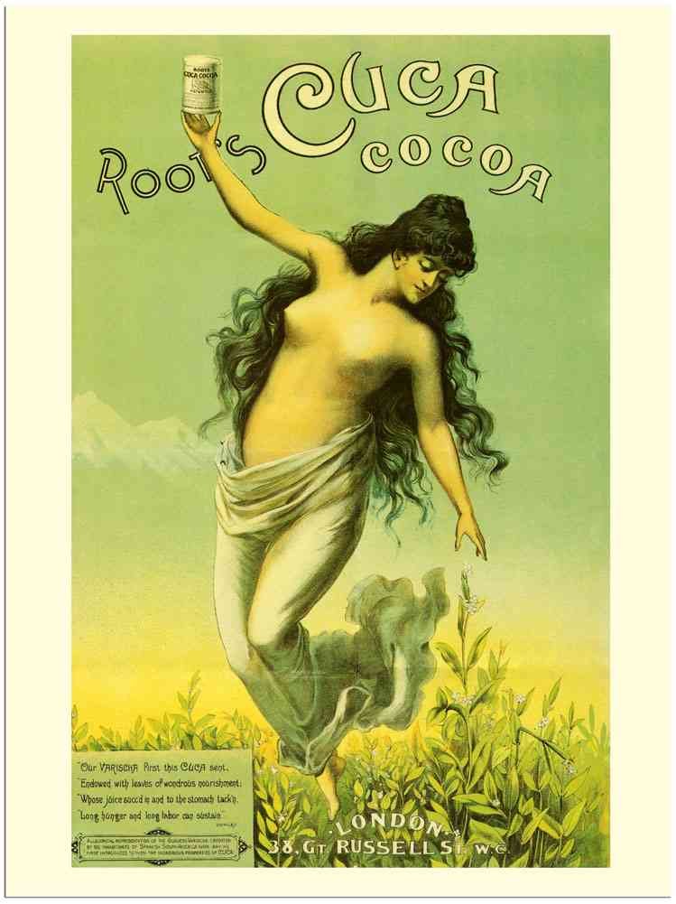 834 Roots Cocoa1880S advert A4 Photo Print