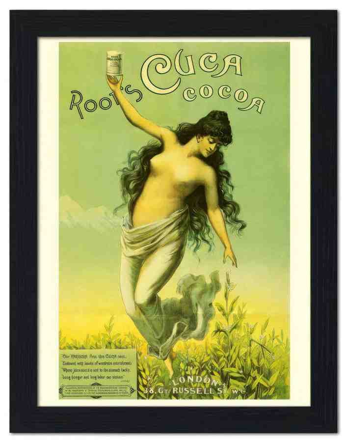 834 roots cocoa 1880s 2 Vintage Advert A4 Photo Print
