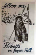 9381 Vintage Advert A4 Photo Print