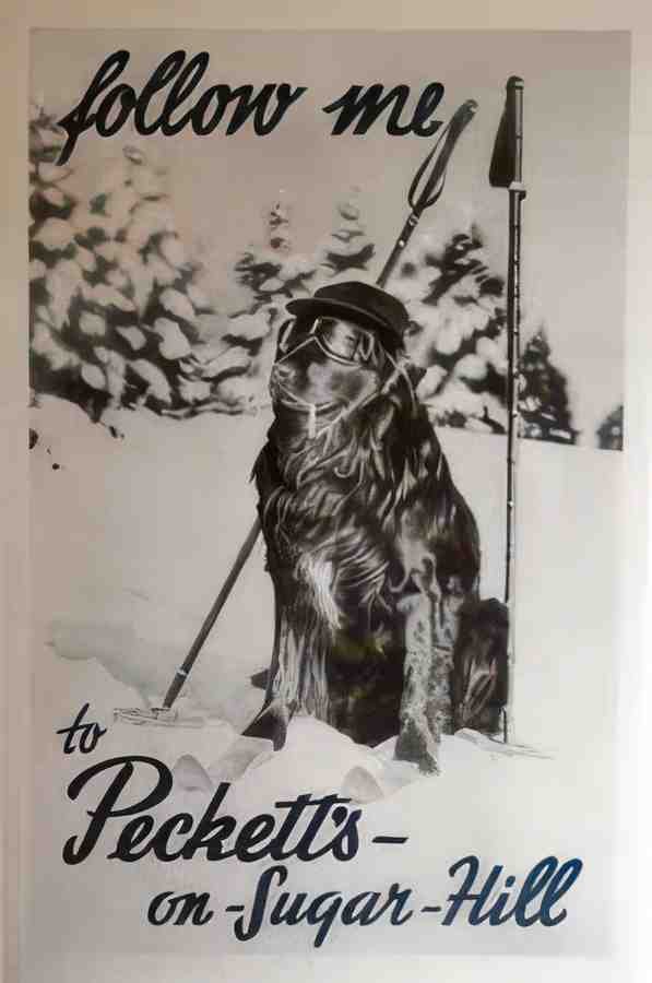 9381 Vintage Advert A4 Photo Print