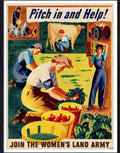 94 pitch in and help women's land army Advert A4 Photo Print