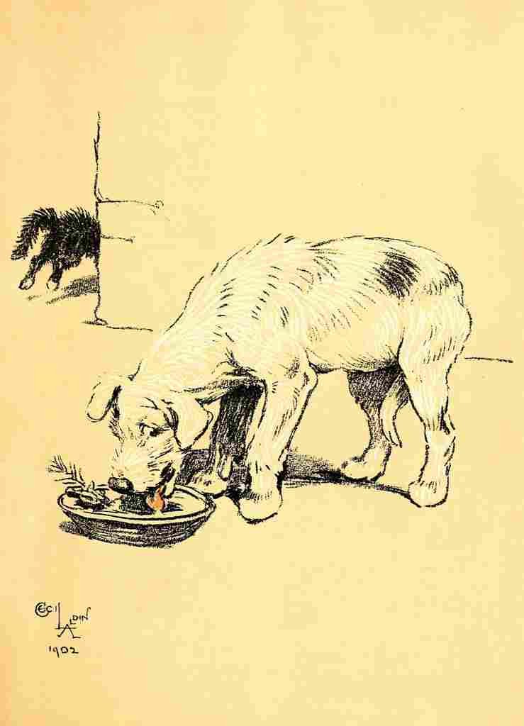 A Dog Day 1902 10 A4 Photo Print