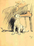A Dog Day 1902 12 A4 Photo Print