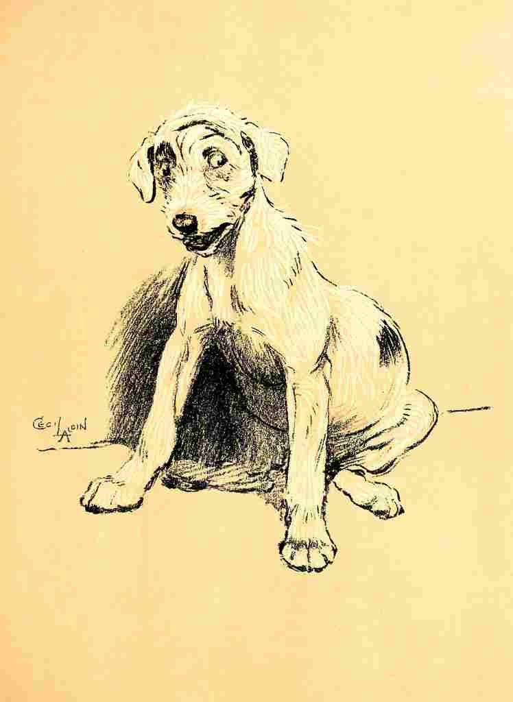 A Dog Day 1902 13 A4 Photo Print