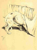 A Dog Day 1902 14 A4 Photo Print