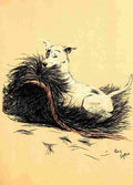 A Dog Day 1902 17 A4 Photo Print