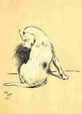 A Dog Day 1902 19 A4 Photo Print