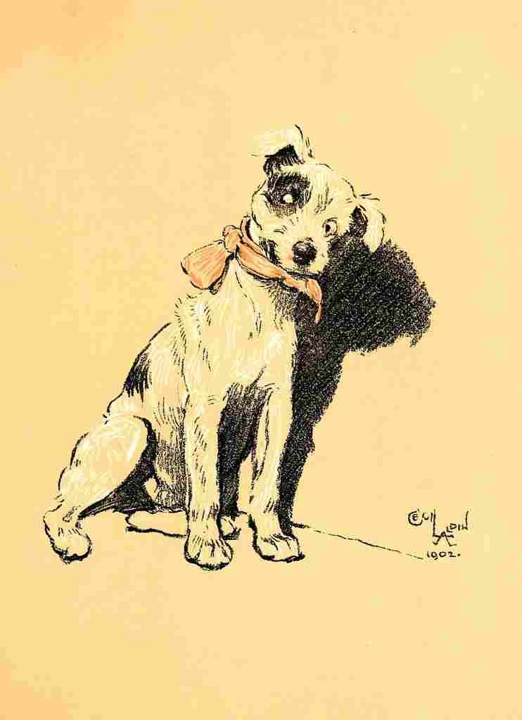 A Dog Day 1902 2 A4 Photo Print