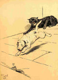 A Dog Day 1902 22 A4 Photo Print