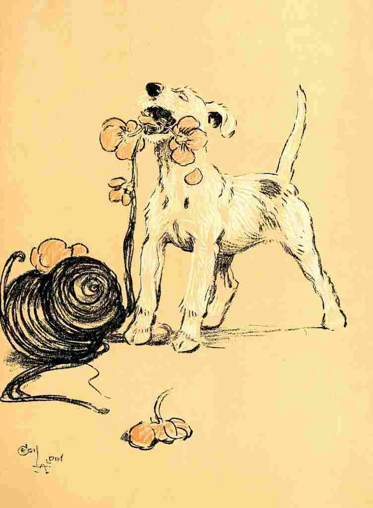 A Dog Day 1902 23 A4 Photo Print