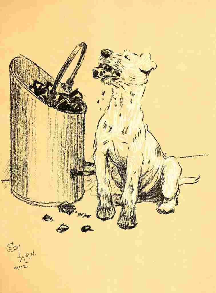 A Dog Day 1902 25 A4 Photo Print