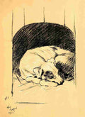A Dog Day 1902 27 A4 Photo Print