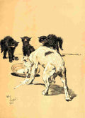 A Dog Day 1902 3 A4 Photo Print