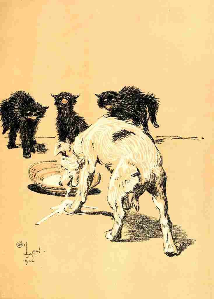 A Dog Day 1902 3 A4 Photo Print