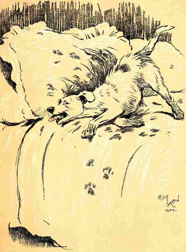A Dog Day 1902 6 A4 Photo Print