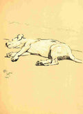 A Dog Day 1902 8 A4 Photo Print