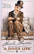 A Dogs Life 01 film star poster A4 Photo Print