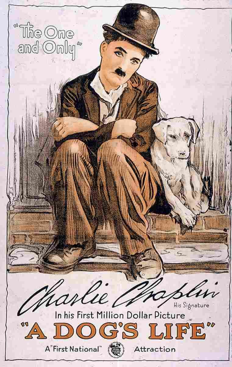A Dogs Life 01 film star poster A4 Photo Print