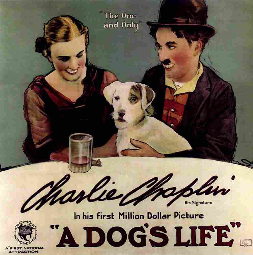 A Dogs Life 02 film star poster A4 Photo Print
