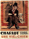 A Dogs Life 03 film star poster A4 Photo Print