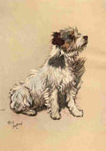 A Dozen Dogs or So 1928 11 A4 Photo Print