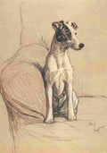 A Dozen Dogs or So 1928 13 A4 Photo Print